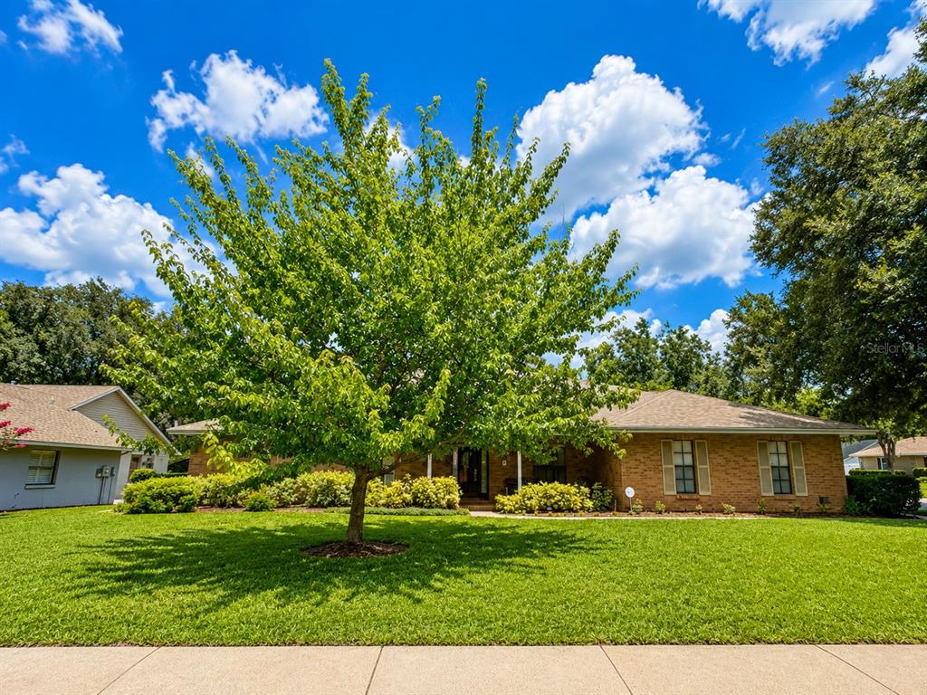 411 SUMMIT CHASE DRIVE, VALRICO, FL — photo 3 of 30