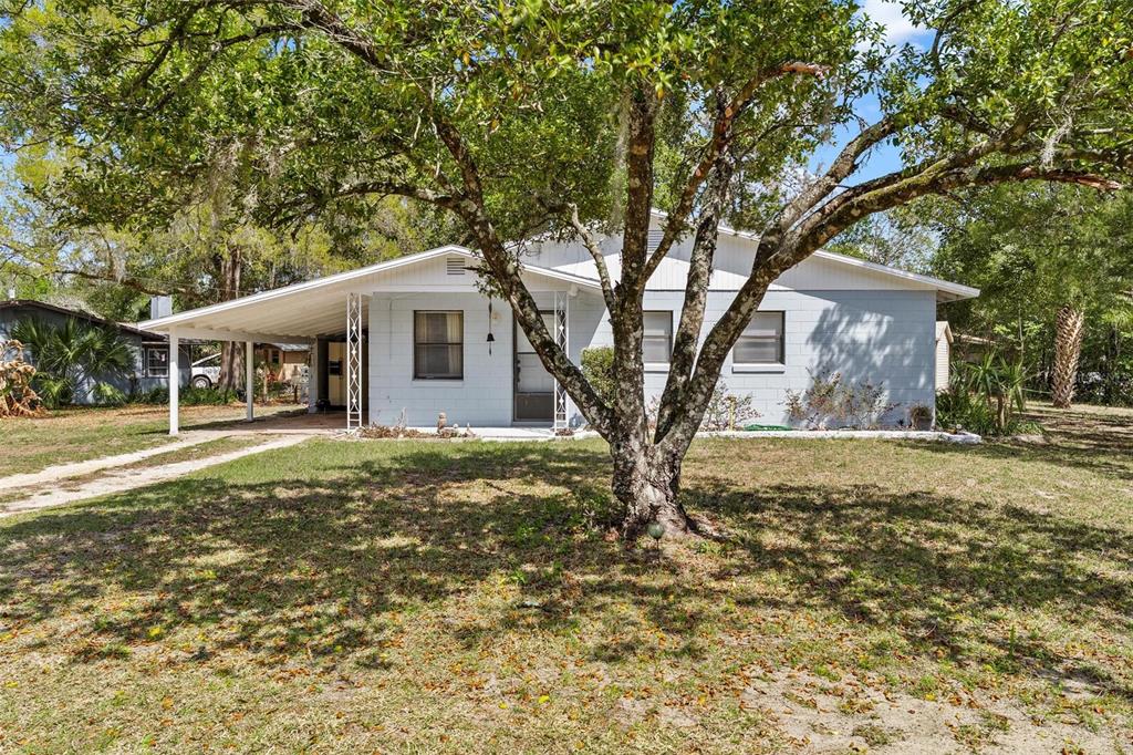 A single-story light gray house with a carport and a large tree in the yard — 501 POINSETTIA AVENUE, FRUITLAND PARK, FL