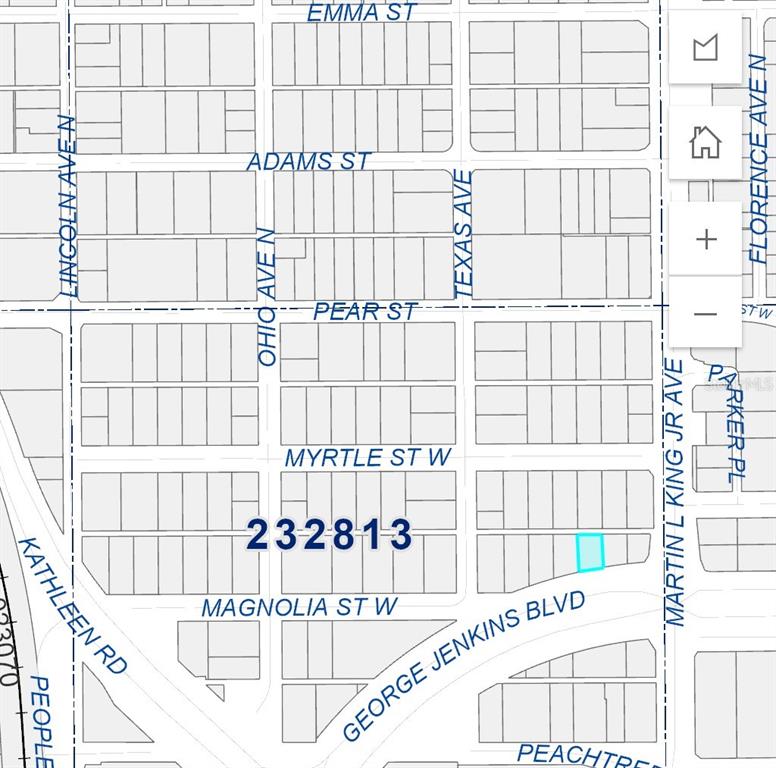 This is a map showing a highlighted property lot in a residential neighborhood — W MAGNOLIA STREET, LAKELAND, FL
