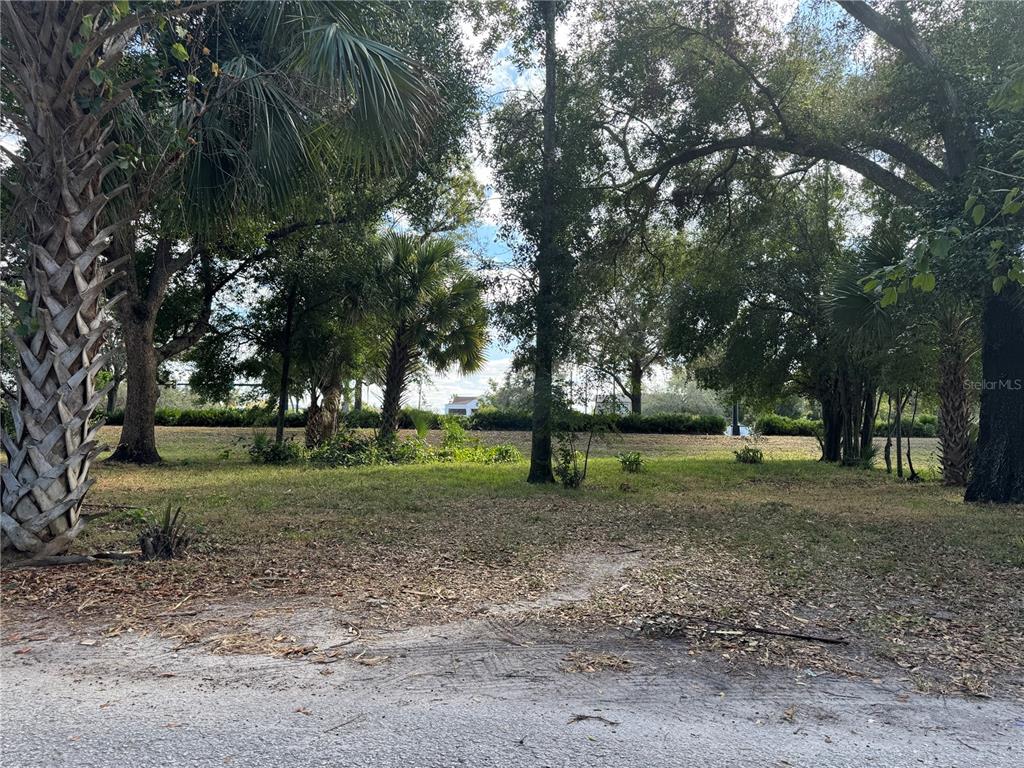 A grassy, tree-filled vacant lot is viewed from a sandy road under a bright sky — W MAGNOLIA STREET, LAKELAND, FL