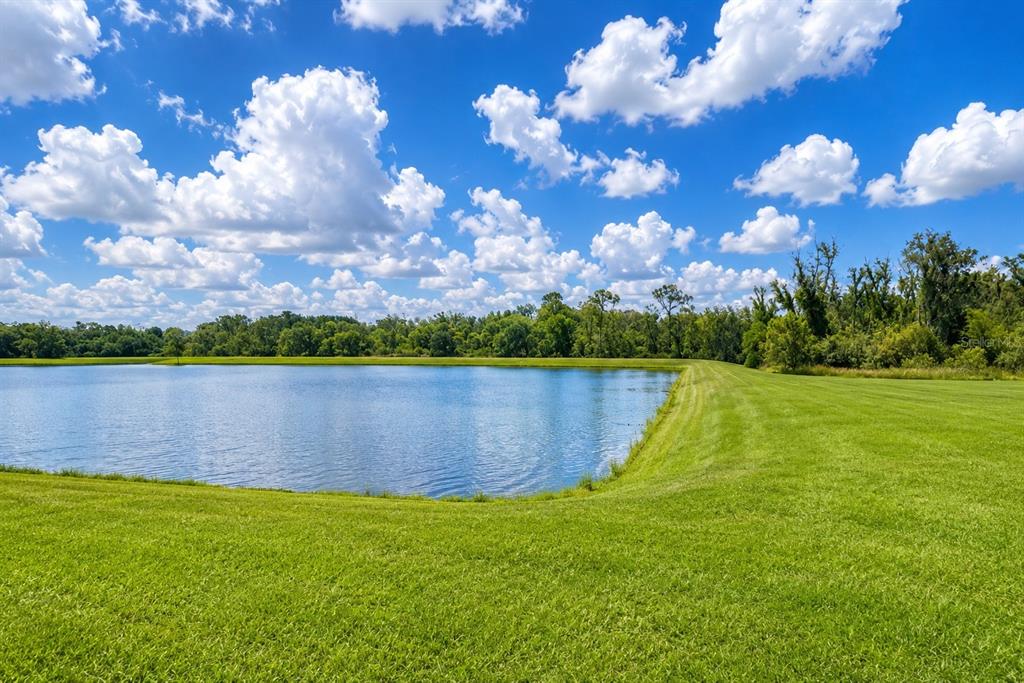 A grassy lawn slopes down to a large pond under a bright, cloudy blue sky — 17132 WHITE MANGROVE DRIVE, WIMAUMA, FL