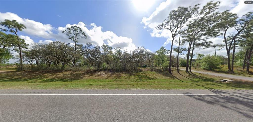 A grassy, tree-lined vacant lot sits adjacent to a paved road under a cloudy sky — COMMONWEALTH AVENUE N, POLK CITY, FL