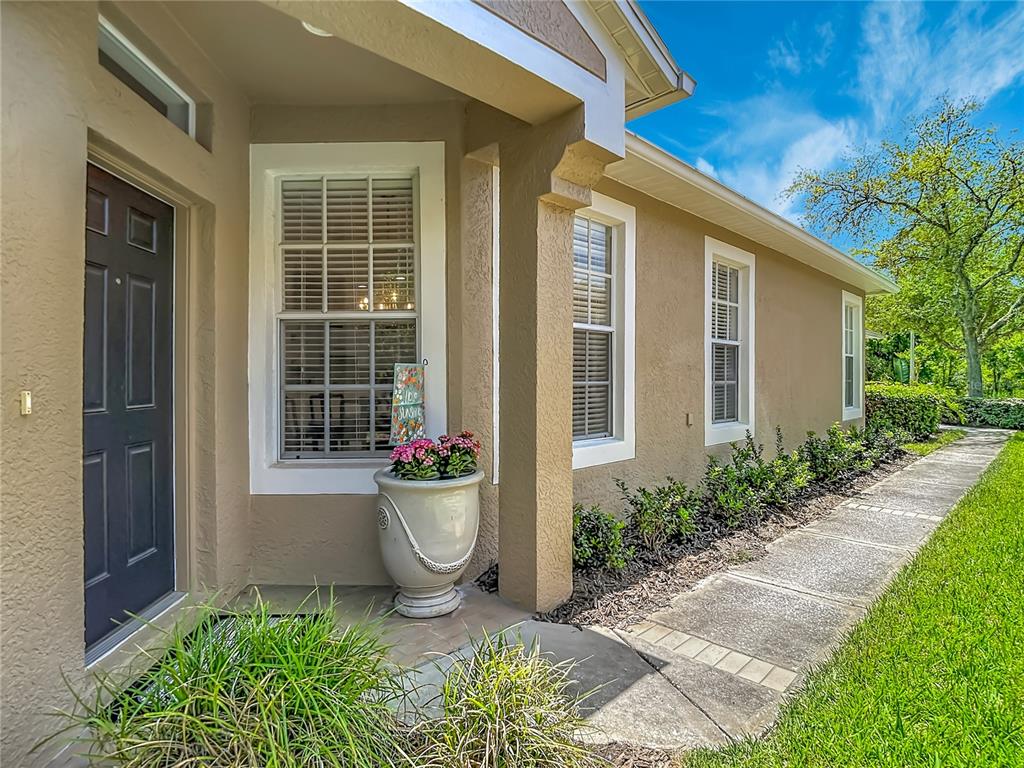 A tan stucco house exterior features a dark front door, windows, and a potted plant — 19180 LAKE AUDUBON DRIVE, TAMPA, FL