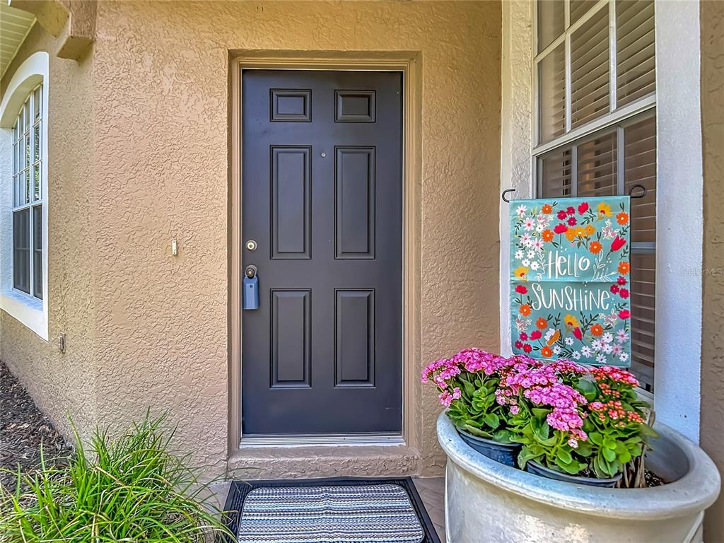 A dark front door with a lockbox sits beside a potted plant and garden flag — 19180 LAKE AUDUBON DRIVE, TAMPA, FL