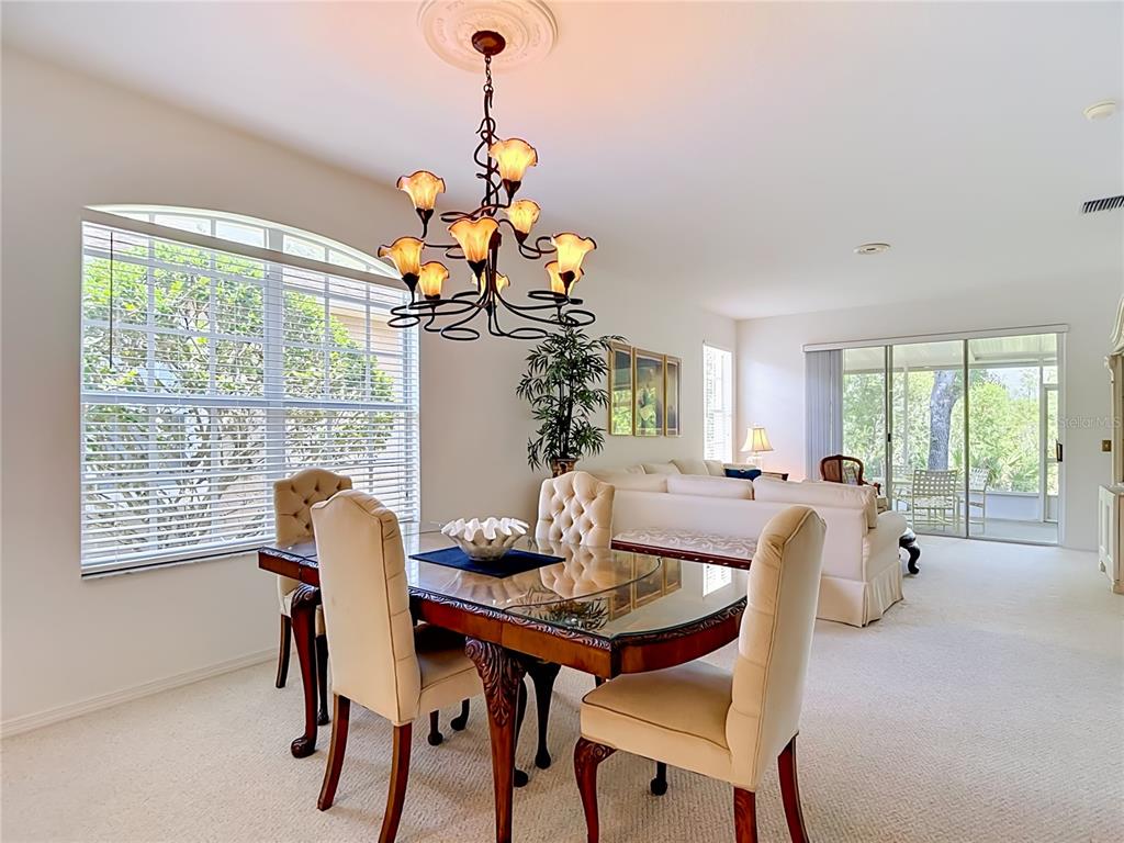 A dining area with a glass-topped table and chandelier opens into a living room — 19180 LAKE AUDUBON DRIVE, TAMPA, FL