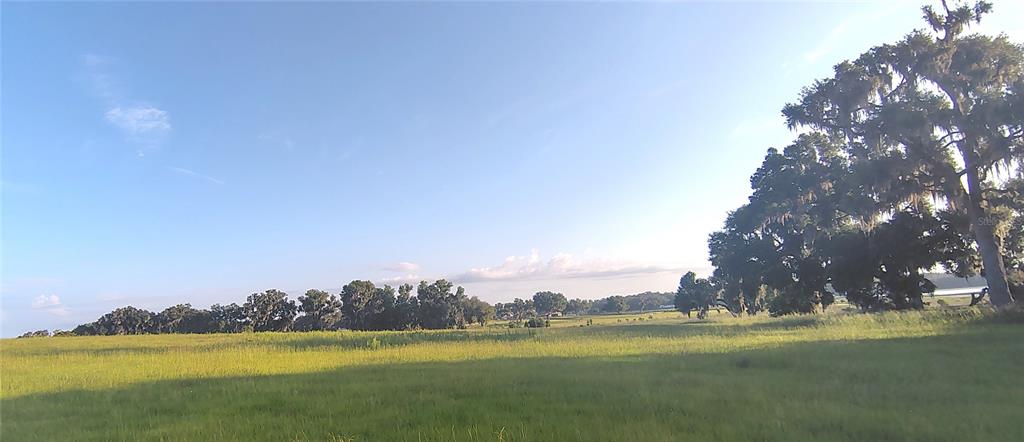 A wide, grassy field stretches toward a line of trees under a clear blue sky — COVINGTON ROAD, DADE CITY, FL
