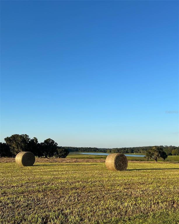 Two large hay bales sit in a harvested field overlooking a lake under a clear sky — COVINGTON ROAD, DADE CITY, FL