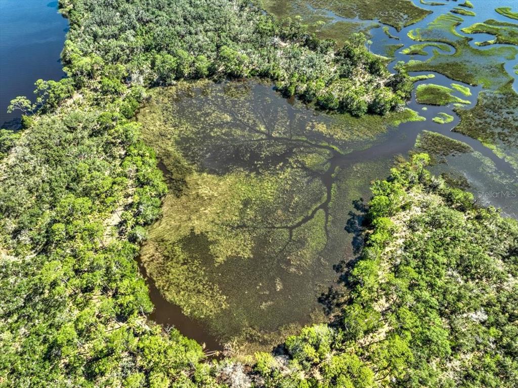 00000 CLARK ISLAND, CEDAR KEY, FL — photo 4 of 26