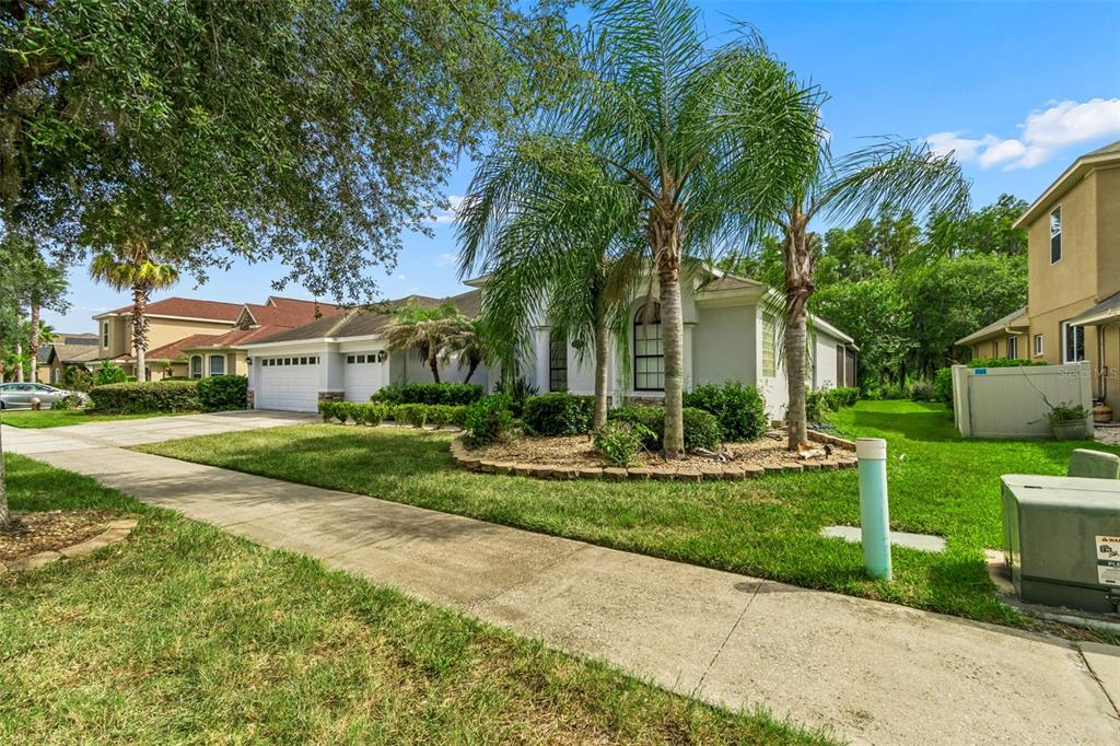 A single-story house with a white exterior, a two-car garage, and palm trees in front — 19236 CLIMBING ASTER DRIVE, TAMPA, FL