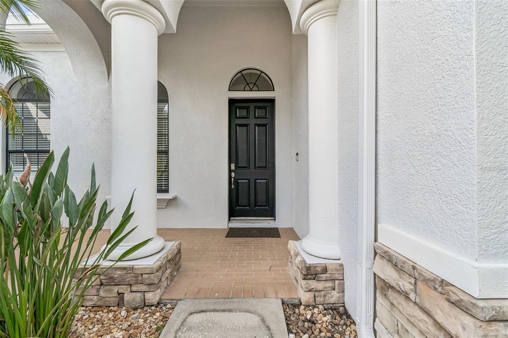 A black front door is framed by two white columns on a stone-accented porch — 19236 CLIMBING ASTER DRIVE, TAMPA, FL