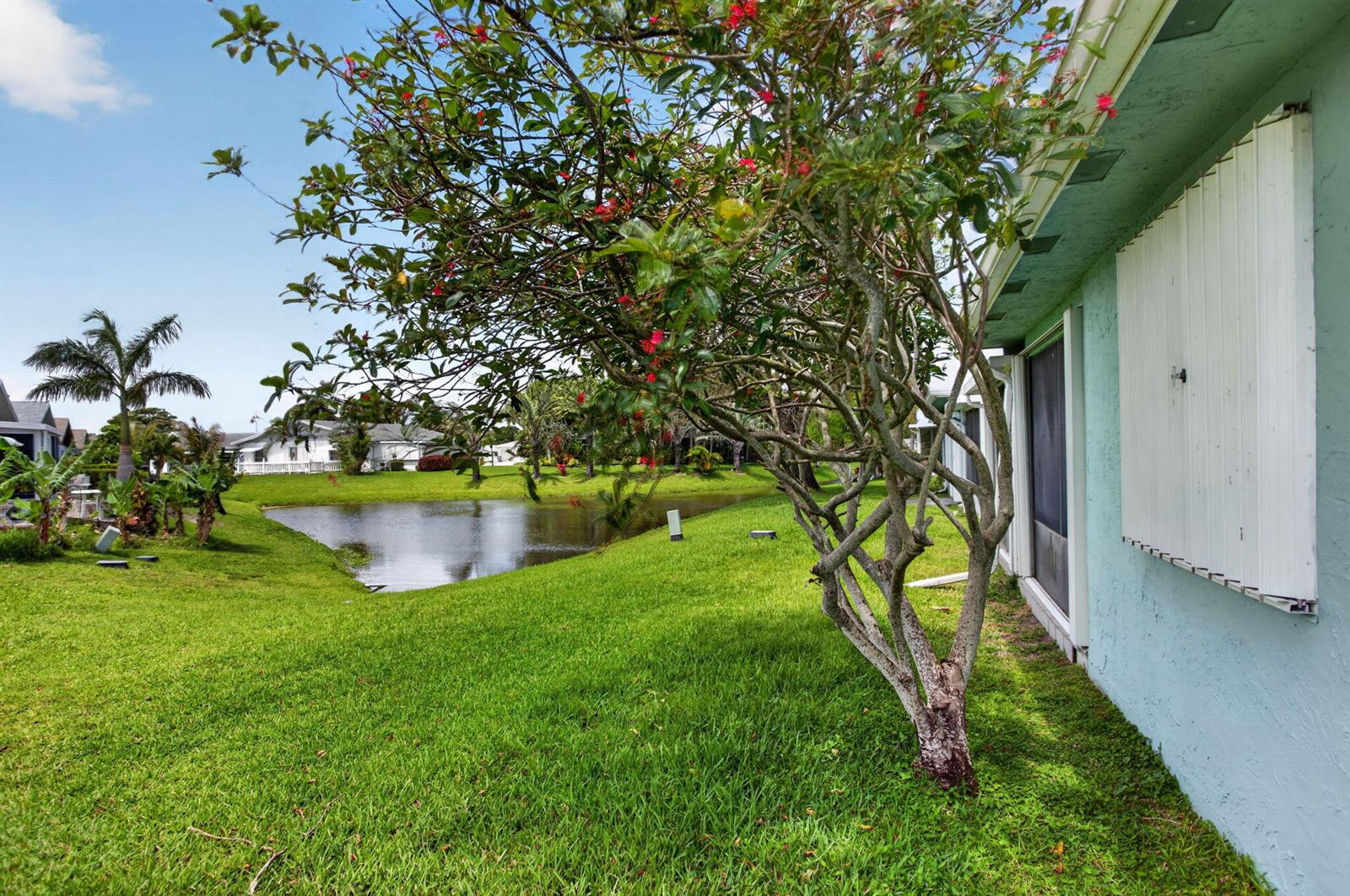 A view of a grassy yard with a small pond and a flowering tree — 13891 Packard Terrace, Delray Beach FL 33484, DELRAY BEACH, FL