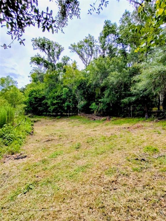 A cleared, grassy lot sits in front of a dense line of mature trees — FITZHUGH AVENUE, BROOKSVILLE, FL