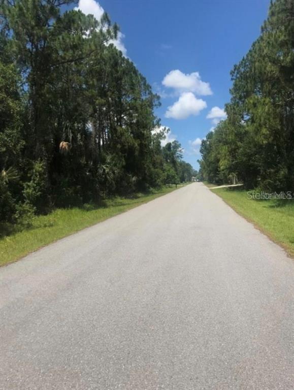 A paved road stretches into the distance, flanked by dense trees and grassy shoulders — 0966054925 KASKIN AVENUE, NORTH PORT, FL