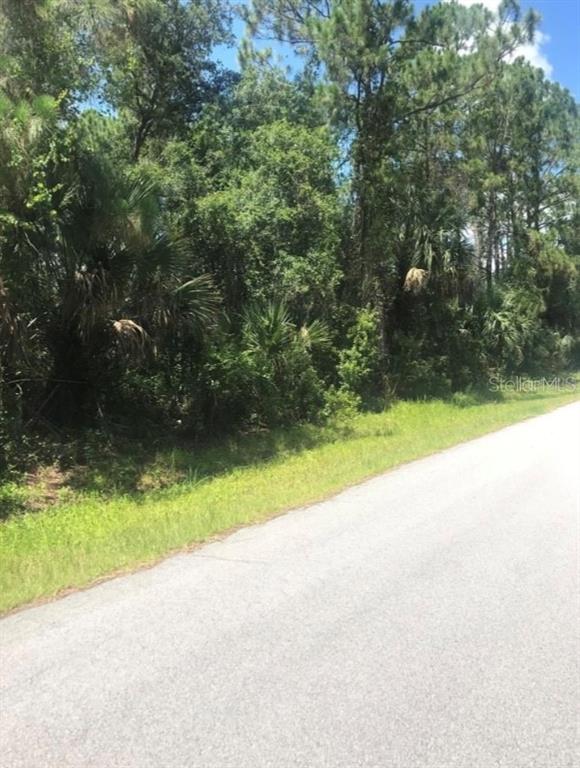 A paved road runs alongside a densely wooded lot with various trees and palmettos — 0966054925 KASKIN AVENUE, NORTH PORT, FL
