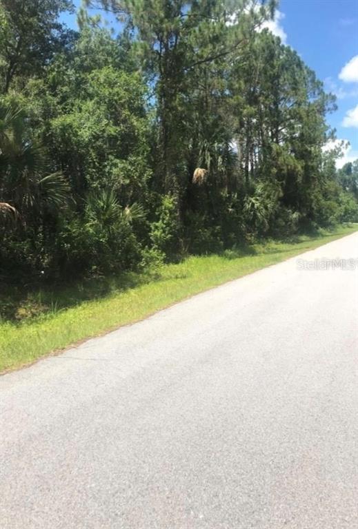 A paved road runs alongside a dense, wooded lot with tall pine and palm trees — 0966054925 KASKIN AVENUE, NORTH PORT, FL