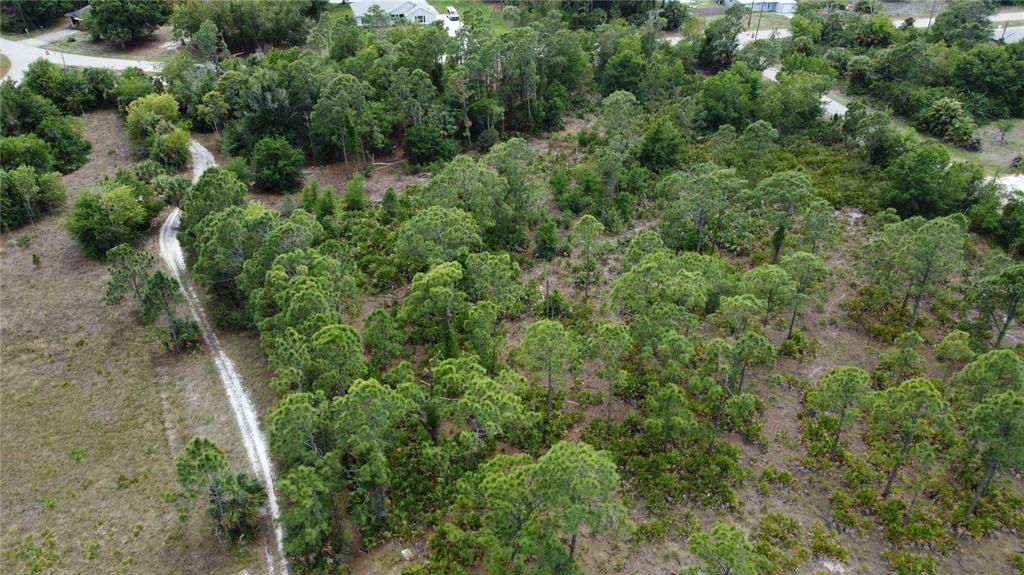 An aerial view shows a wooded, undeveloped lot with a dirt path running through it — 27276 DEL RIO DRIVE, PUNTA GORDA, FL