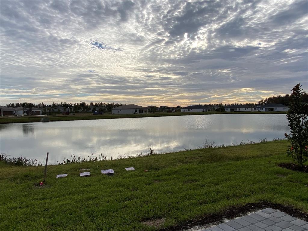 A stone monument sign for Valencia Ridge sits behind a lawn with palm trees — 32643 NEROLI STREET, WESLEY CHAPEL, FL