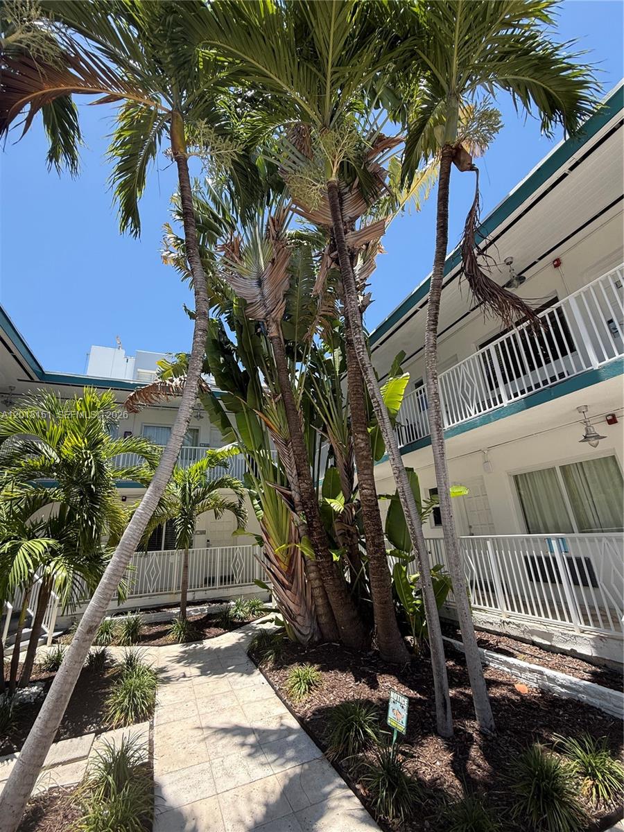 A paved walkway leads through a courtyard with palm trees between two-story apartment buildings — 7710 Harding Ave # 1, Miami Beach FL 33141, MIAMI BEACH, FL