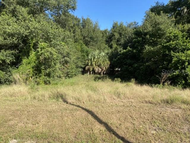US-441, EUSTIS, FL — photo 3 of 4