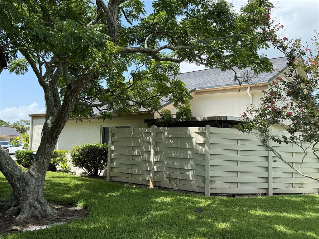 A large tree stands in the front yard of a house with a privacy fence — 2617 FOREST RUN COURT, CLEARWATER, FL