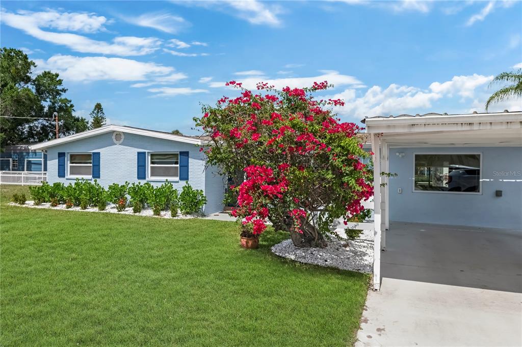 A light blue house with a carport and a large blooming bougainvillea in the yard — 103 W NORTH BRANCH ROAD, RUSKIN, FL