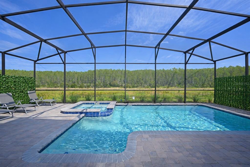 A screened-in swimming pool and spa with lounge chairs overlooking a grassy field and trees — 2956 PENELOPE LOOP, KISSIMMEE, FL