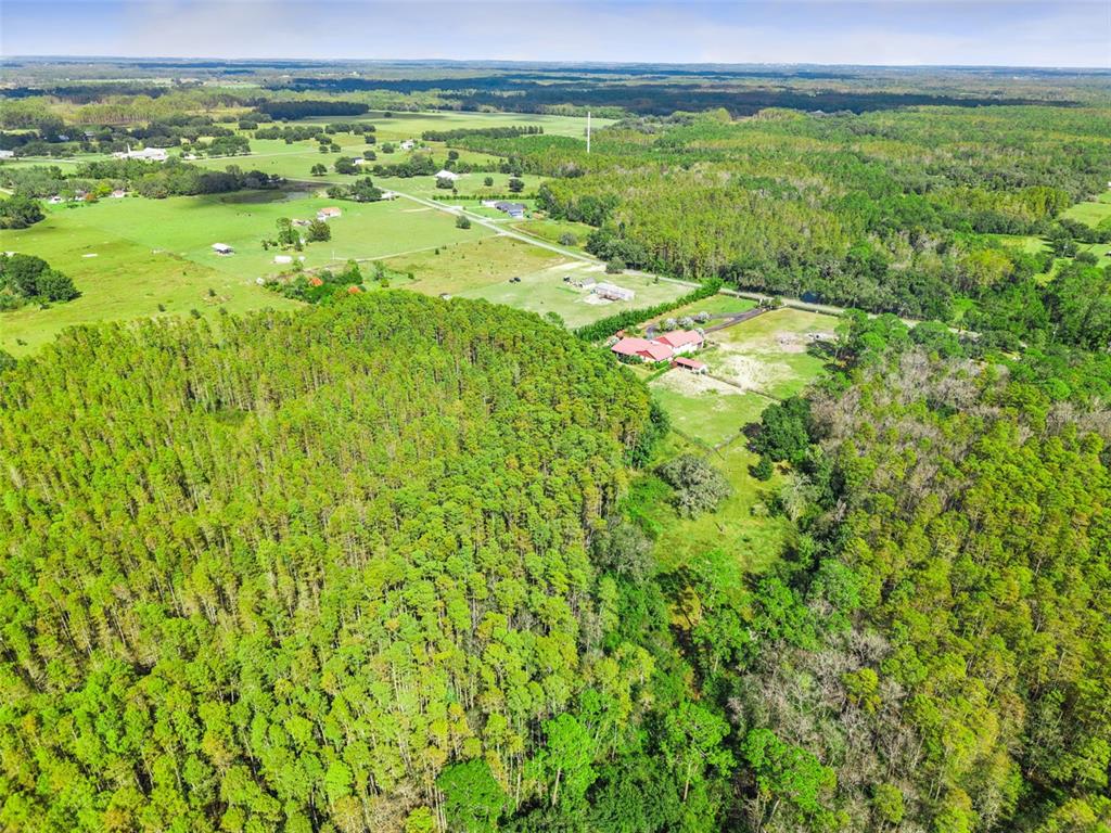 An aerial view shows a rural property with a house surrounded by trees and fields — 8449 BAY LAKE ROAD, GROVELAND, FL