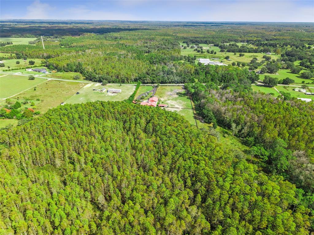 An aerial view shows a rural property with a red-roofed house surrounded by dense forest — 8449 BAY LAKE ROAD, GROVELAND, FL