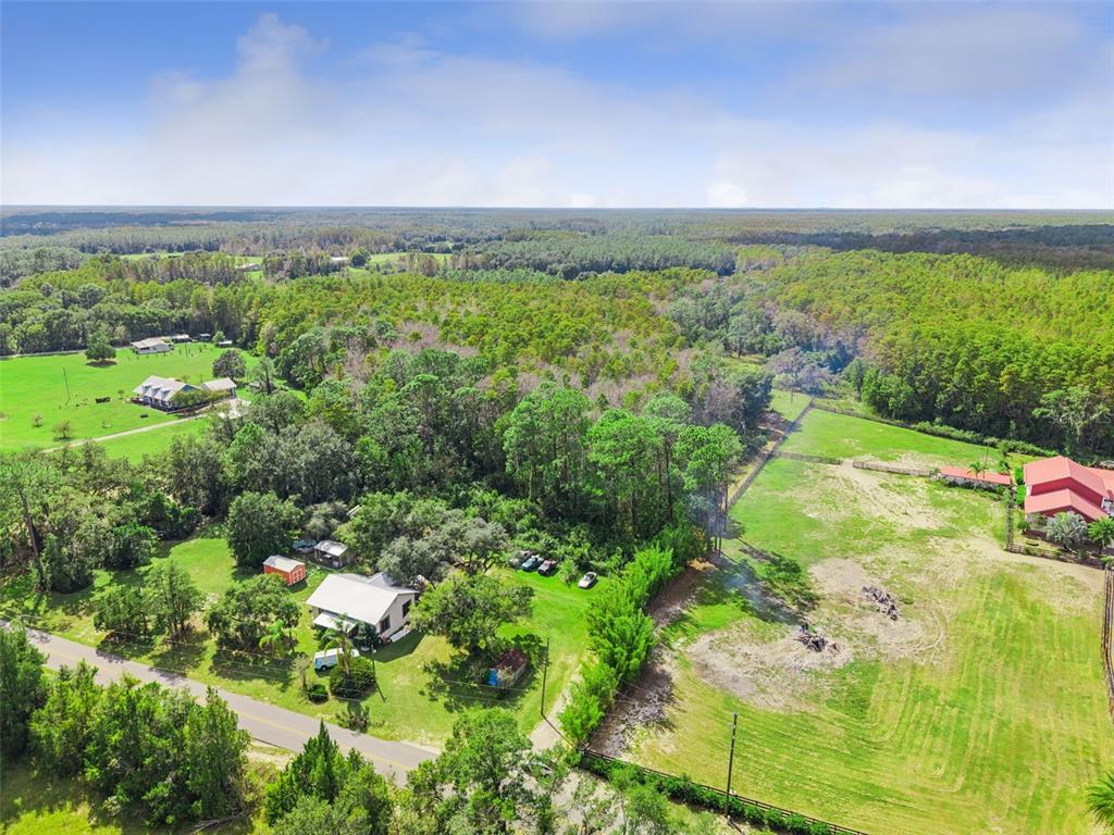 An aerial view shows a house, outbuildings, and fenced pastures surrounded by dense forest — 8449 BAY LAKE ROAD, GROVELAND, FL