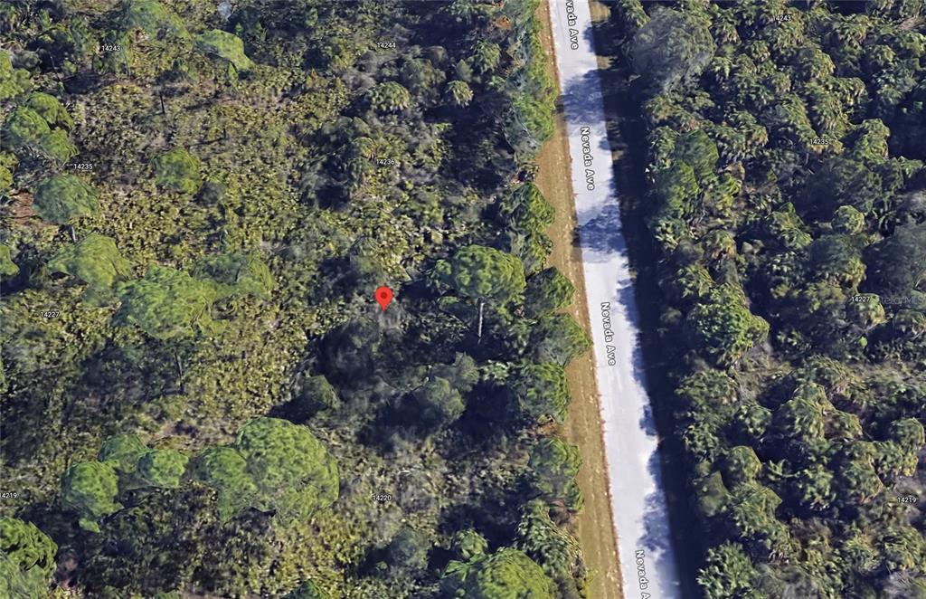 This aerial view shows a wooded, undeveloped lot located next to a paved road — 14228 NEVADA AVENUE, PORT CHARLOTTE, FL