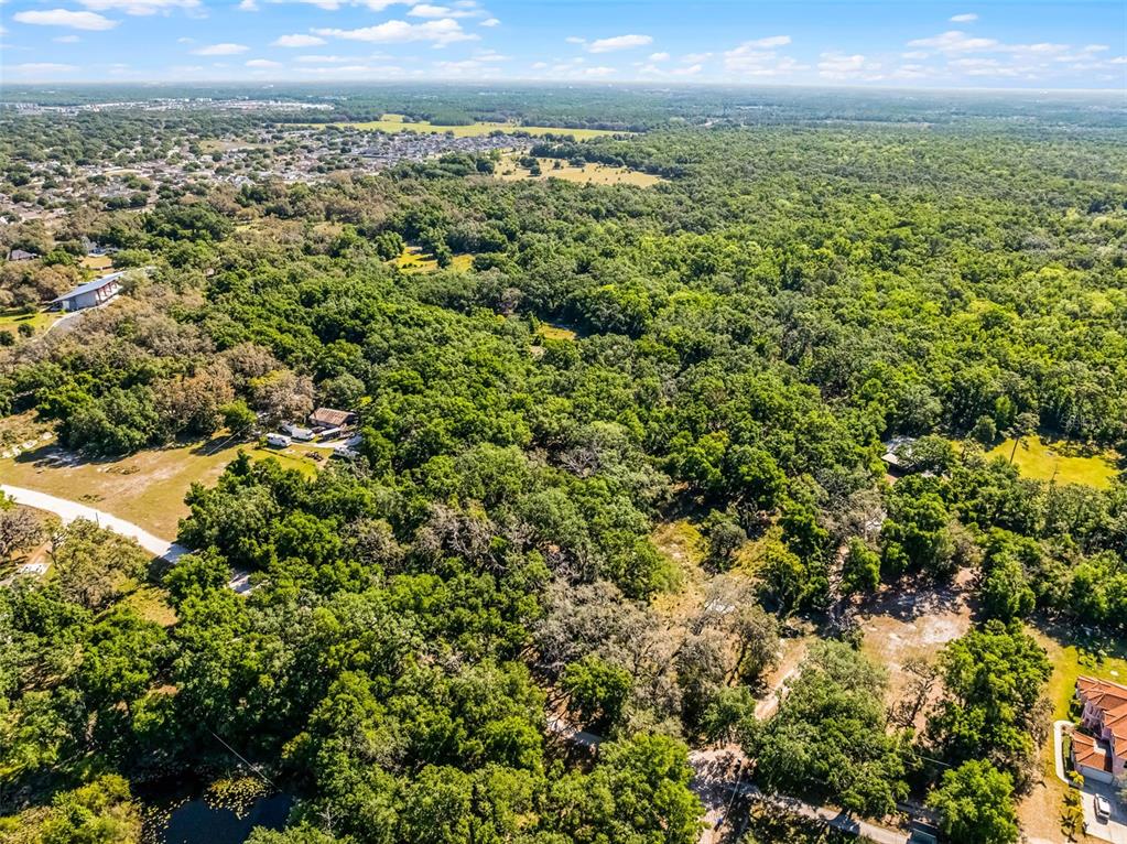An aerial view shows a large, wooded lot with a pond and nearby residential development — 3633 PANTHER PATH ROAD, LUTZ, FL