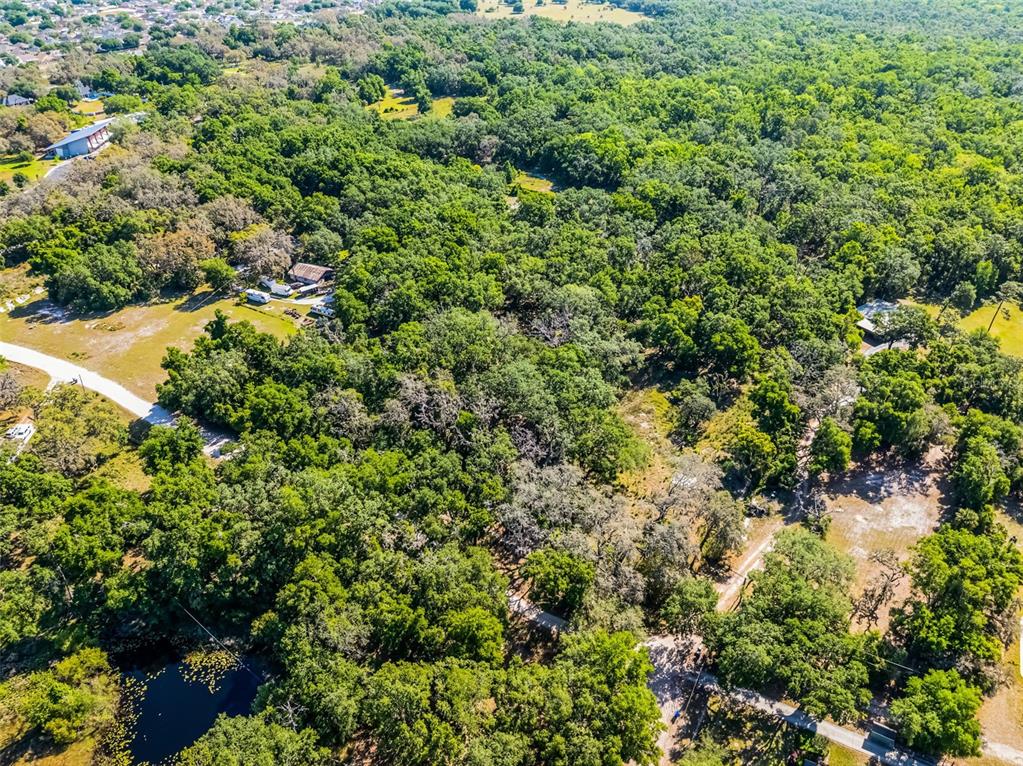 An aerial view shows a wooded property with a pond, several buildings, and dirt paths — 3633 PANTHER PATH ROAD, LUTZ, FL