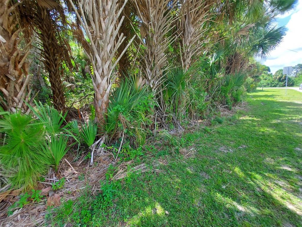 A row of palm trees stands along a grassy area next to a road — 6049 PENNELL STREET, ENGLEWOOD, FL