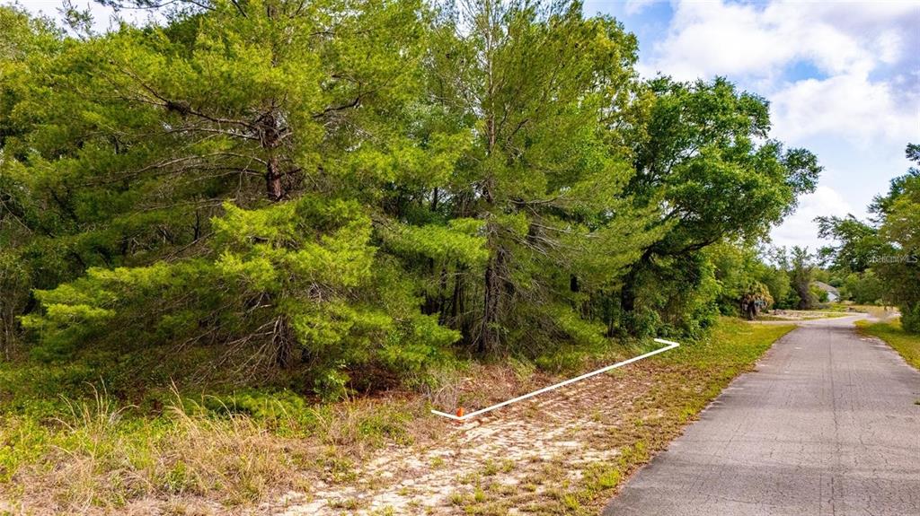 A paved road runs alongside a wooded lot marked by a small orange stake — MAGNOLIA DRIVE, OCKLAWAHA, FL