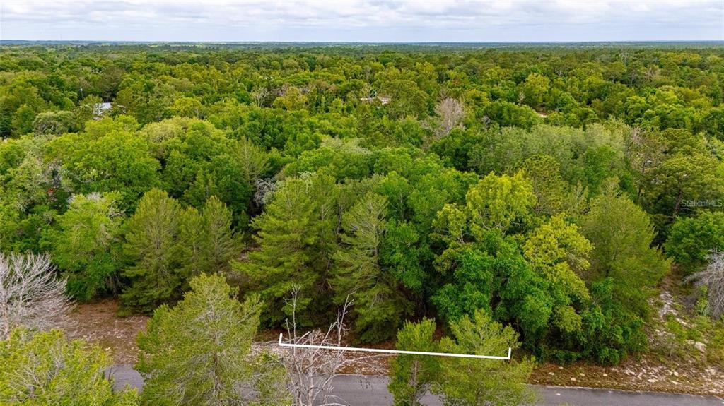 An aerial view shows a wooded, undeveloped lot bordering a paved road — MAGNOLIA DRIVE, OCKLAWAHA, FL