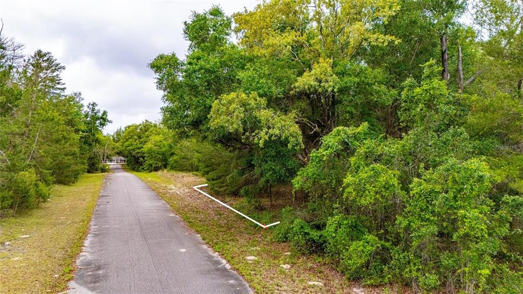 A paved road runs alongside a wooded lot marked by a white line and stake — MAGNOLIA DRIVE, OCKLAWAHA, FL