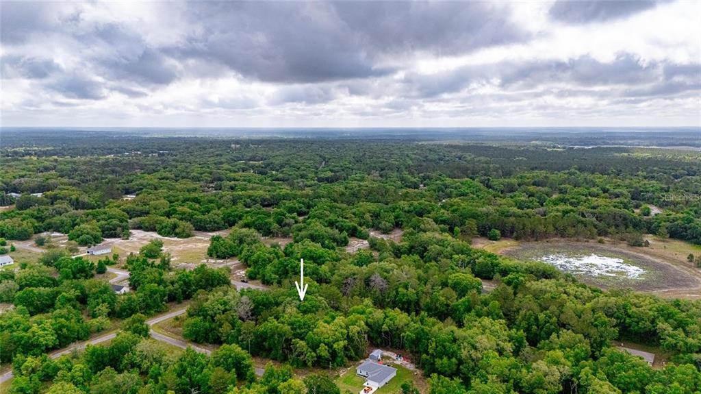 An aerial view shows a wooded lot marked by a white arrow near a house — MAGNOLIA DRIVE, OCKLAWAHA, FL