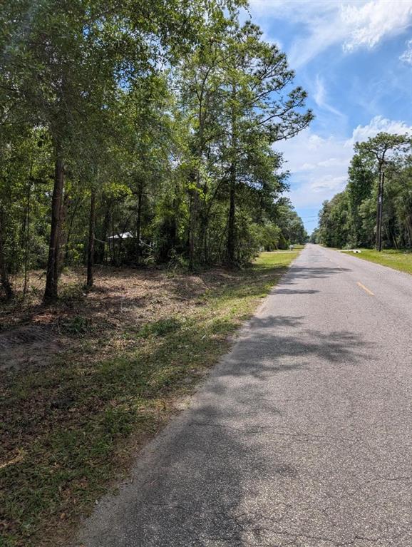A paved road runs alongside a wooded, undeveloped lot under a blue sky — 0 NE 220TH STREET, FORT MC COY, FL