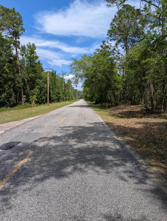 A paved road stretches into the distance, flanked by dense trees and a utility pole — 0 NE 220TH STREET, FORT MC COY, FL