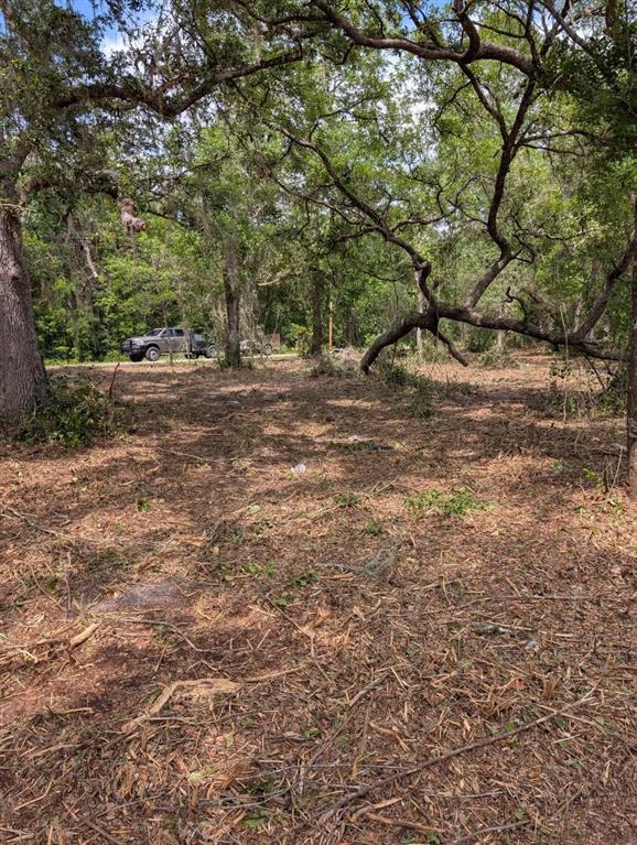 A wooded lot with cleared ground, scattered branches, and a truck parked in the distance — 0 NE 220TH STREET, FORT MC COY, FL