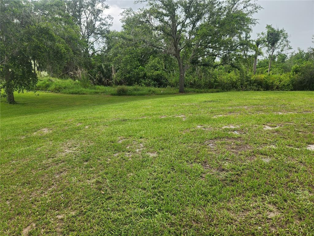A grassy, sloped lot with scattered trees and dense vegetation in the background — 3134 SUN LAKE COURT UNIT B, KISSIMMEE, FL