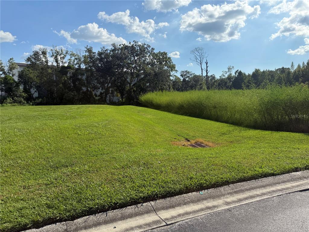 A grassy vacant lot features a storm drain and a line of tall, thin vegetation — ISLAND SHORES LANE, LAKELAND, FL