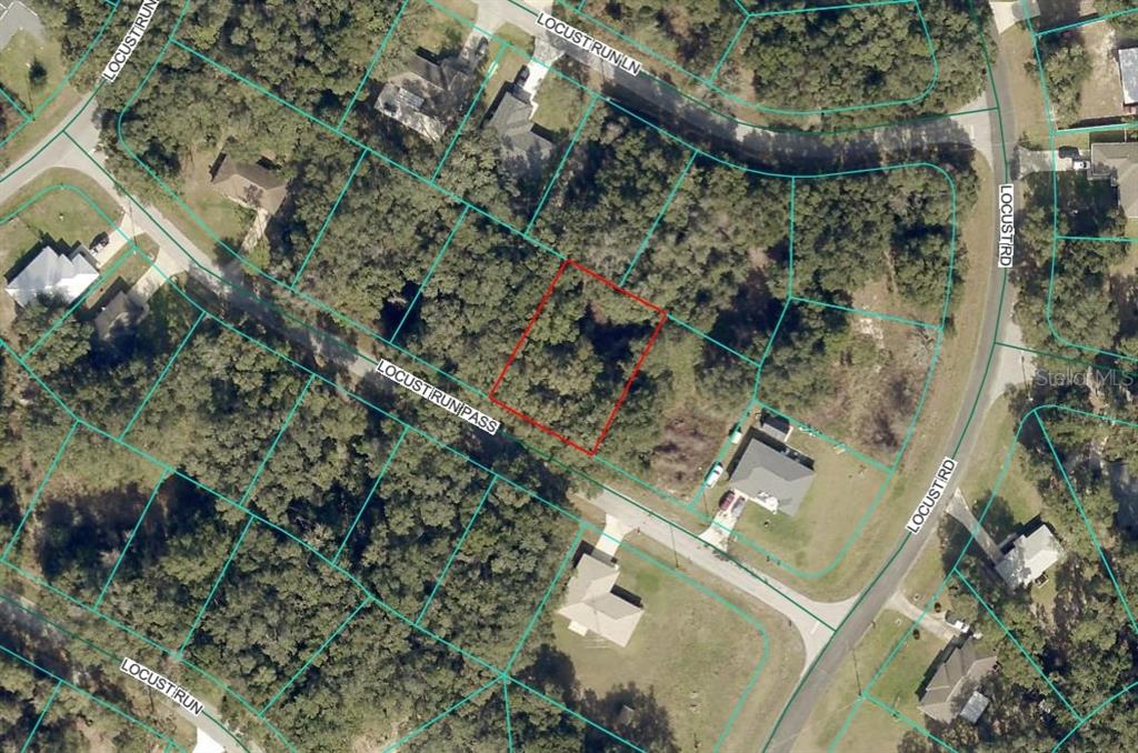 LOCUST RUN PASS, OCALA, FL — photo 2 of 6
