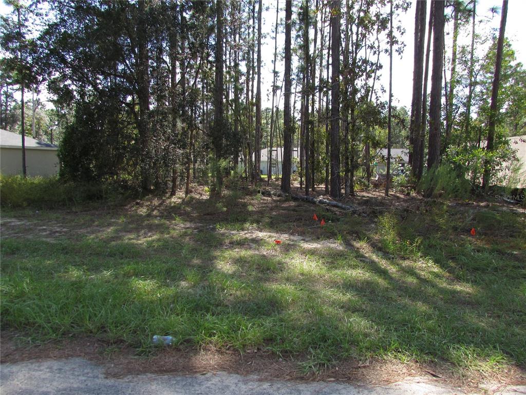 A vacant, wooded residential lot features tall pine trees and scattered orange survey markers — 9250 N TRAVIS DRIVE, CITRUS SPRINGS, FL