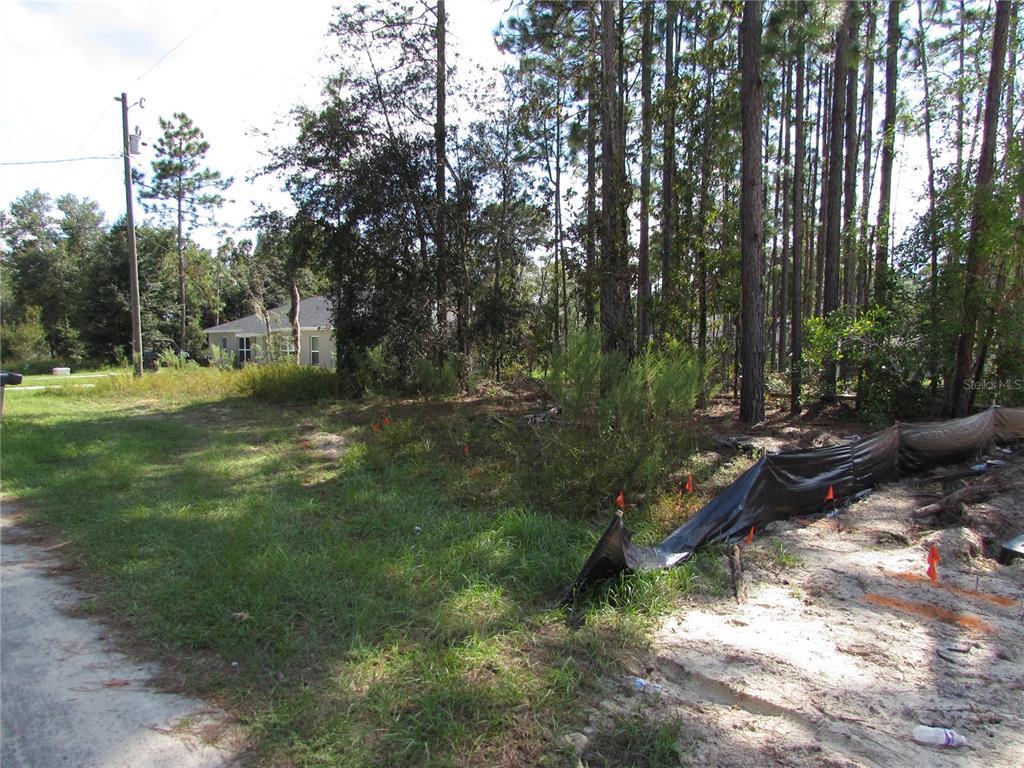 A vacant, wooded lot features orange survey flags and a black silt fence — 9250 N TRAVIS DRIVE, CITRUS SPRINGS, FL