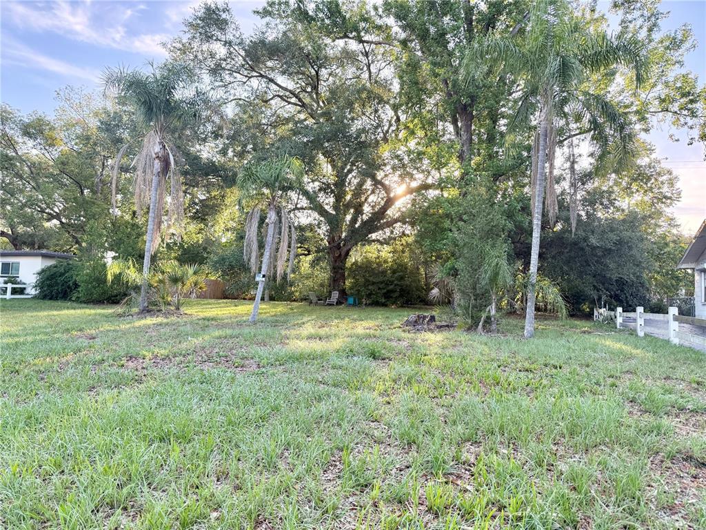 A grassy lot features several palm trees and a large oak tree under a sunny sky — 304 SPRINGDALE PLACE, TEMPLE TERRACE, FL