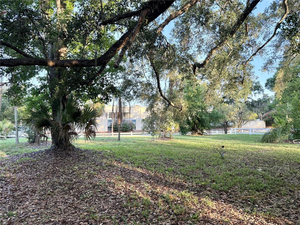 A grassy yard features large oak trees, a palm tree, and a white fence — 304 SPRINGDALE PLACE, TEMPLE TERRACE, FL
