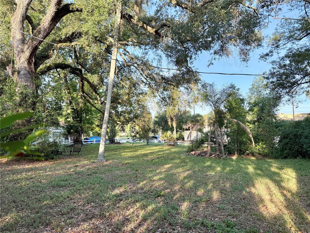A grassy backyard features large oak trees, a palm tree, and a white fence — 304 SPRINGDALE PLACE, TEMPLE TERRACE, FL
