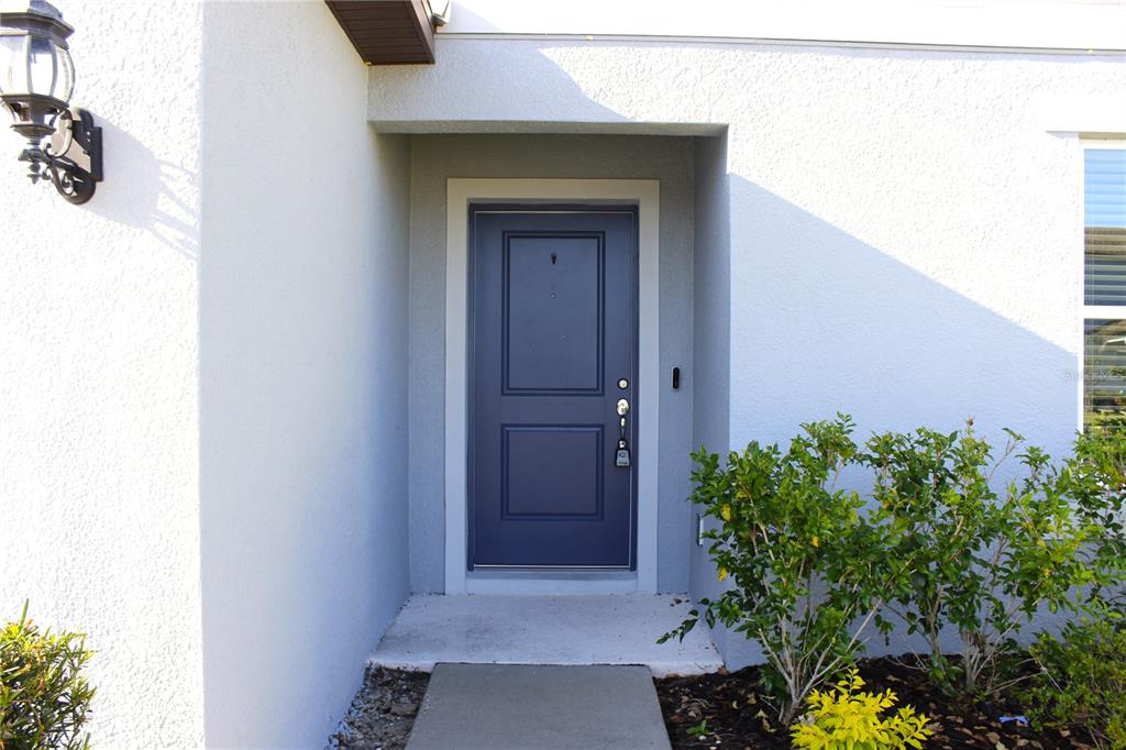 A blue front door is set within a recessed entryway of a white stucco house — 30600 THUNDERBIRD DRIVE, WESLEY CHAPEL, FL