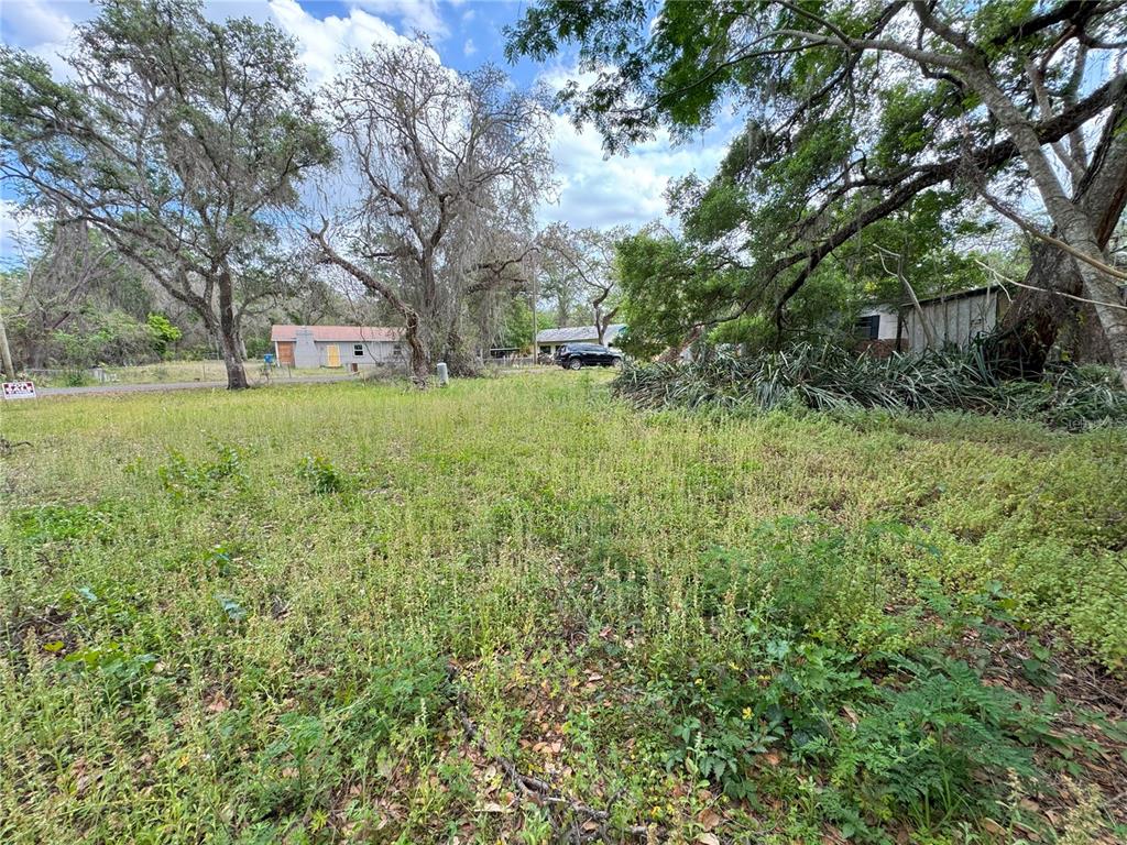 A grassy, overgrown vacant lot features several large trees and a distant house — 3221 DUBLIN ROAD, DADE CITY, FL